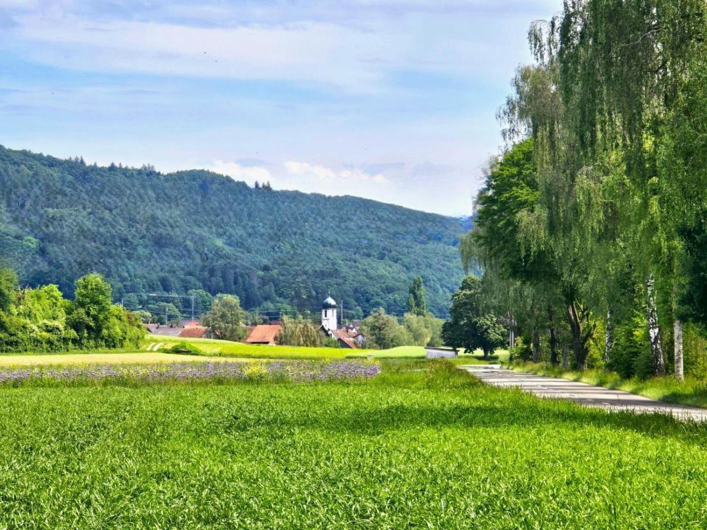 Happy Cow - Lage Naehe Bodensee, Rheinfall, Schaffhausen & Zuerich - Laendliche Idylle Mit Privat-parkplatz Und Viel Komfort - 120m2 - 3 Stockwerke * Ramsen