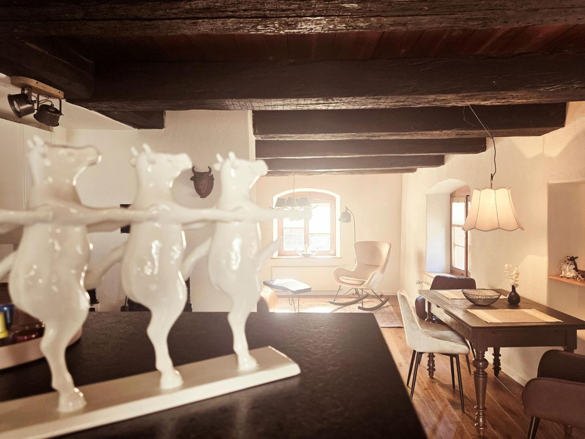 Happy Cow - Lage Naehe Bodensee, Rheinfall, Schaffhausen & Zuerich - Laendliche Idylle Mit Privat-parkplatz Und Viel Komfort - 120m2 - 3 Stockwerke Holiday home Ramsen